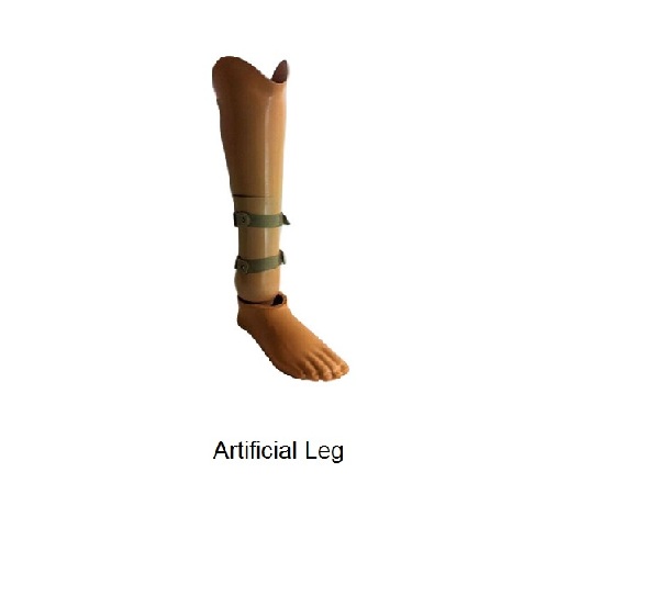 Artificial leg